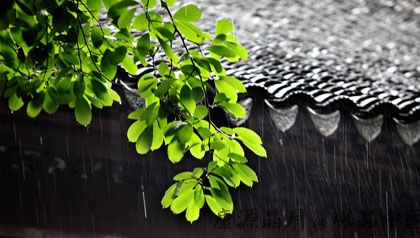 梅雨来了 如何防病防湿防霉 梅雨来了 如何防病防湿防霉