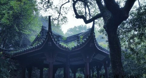 小满节气会闹天吗 小满节气会闹天吗