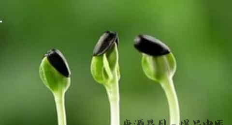 闰六月出生的孩子好不好 闰六月出生的孩子好不好