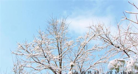 小雪如何养生 小雪如何养生