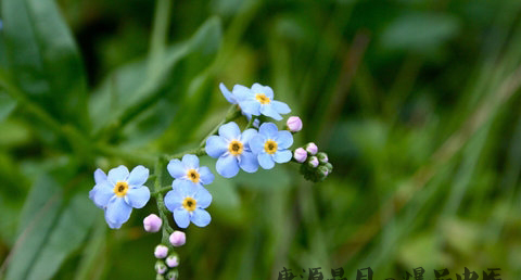 劳动节是几月几日