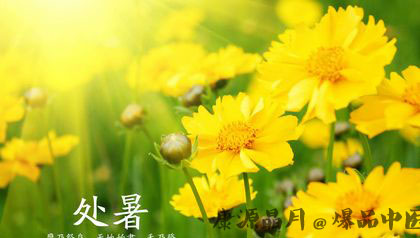二十四节气之处暑习俗大盘点 二十四节气之处暑习俗大盘点
