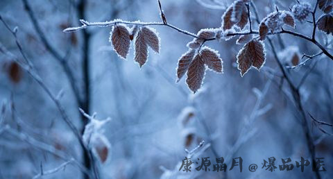 霜降代表什么意思 霜降代表什么意思