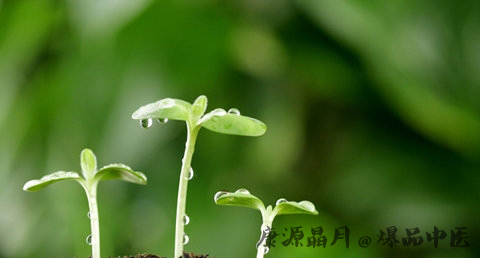 小满节气是哪天 小满节气是哪天