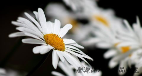 小暑节气代表什么 小暑节气代表什么