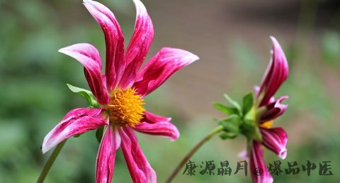 关于小满的谚语 关于小满的谚语