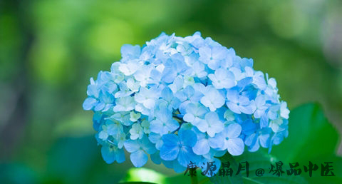 小满节气的特点 小满节气的特点