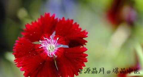 大暑小暑是什么意思 大暑小暑是什么意思