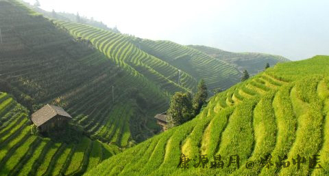小满节气什么意思 小满节气什么意思