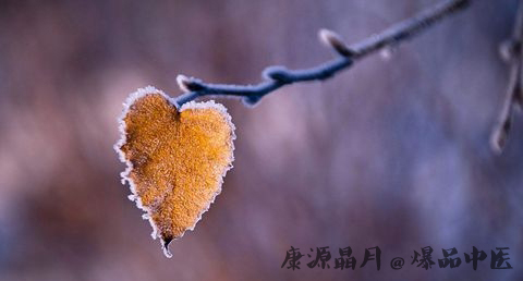 霜降代表什么意思 霜降代表什么意思