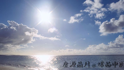 三伏天养生适合吃什么