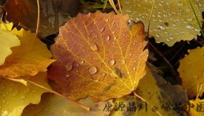 23日秋分至 秋分是什么意思 23日秋分至 秋分是什么意思