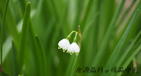 小满节气习俗 小满节气习俗