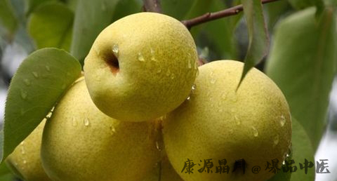 大寒养生吃什么水果 大寒养生吃什么水果