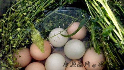 三月三为什么要吃鸡蛋 三月三为什么要吃鸡蛋