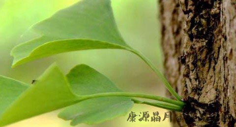 小满节气养生原则 小满节气养生原则