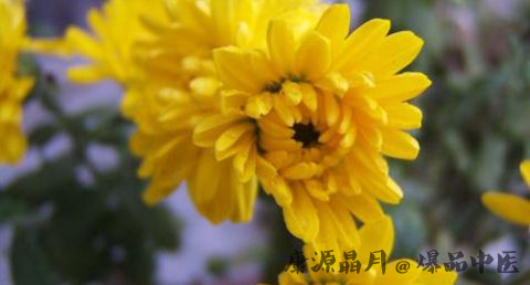 重阳节在几月 重阳节在几月