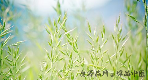 小满节气谚语 小满节气谚语