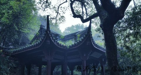 四川清明节吃什么