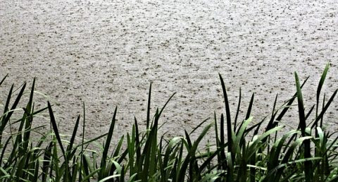 小满节气的天气 小满节气的天气