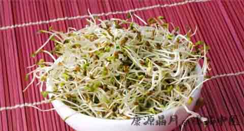 冬至养生最适合吃的蔬菜 冬至养生最适合吃的蔬菜