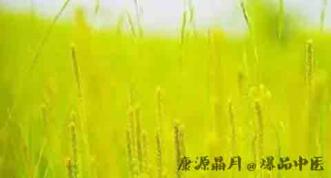 小满节气的意思 小满节气的意思