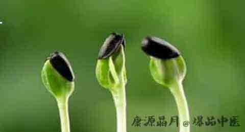 闰月是多久一次 闰月是多久一次