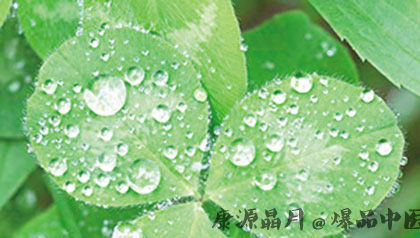 梅雨来了 如何防病防湿防霉 梅雨来了 如何防病防湿防霉