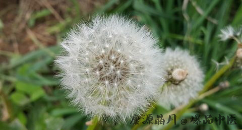 小满吃什么 小满吃什么