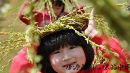 各地清明节的习俗大盘点