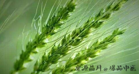 小满节气的介绍 小满节气的介绍