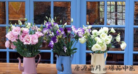 母亲节的起源 母亲节的起源
