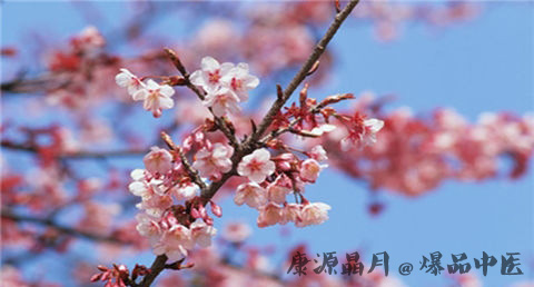 闰月怎么算 闰月怎么算