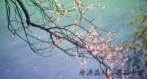 51劳动节的意义 51劳动节的意义