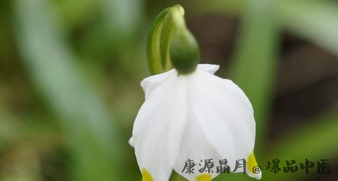 谷雨节气吃什么好 谷雨节气吃什么好