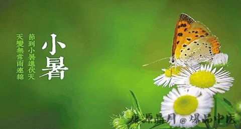 节气小暑是什么意思 节气小暑是什么意思