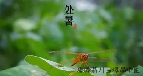 处暑由来 处暑由来
