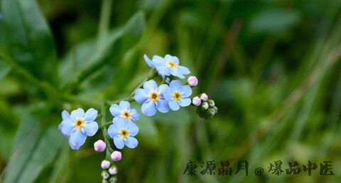 清明节是什么时候 清明节是什么时候