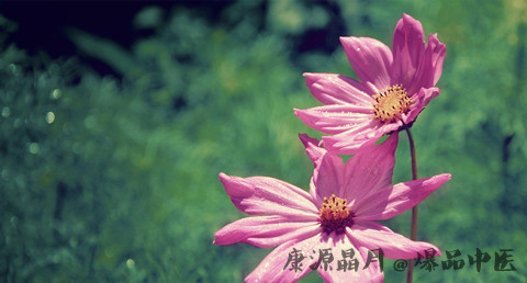 小暑是几月几日星期几 小暑是几月几日星期几