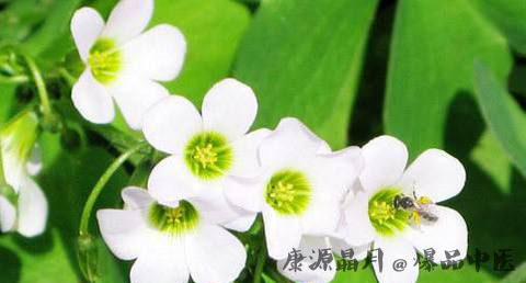 每隔几年一个闰月 每隔几年一个闰月