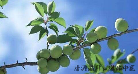 立夏吃什么 立夏吃什么
