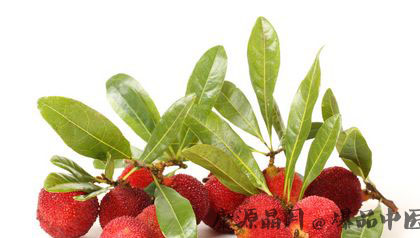 端午节大鱼大肉 吃八种水果最排毒 端午节大鱼大肉 吃八种水果最排毒