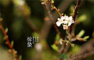 惊蛰是什么意思以及由来 惊蛰是什么意思以及由来