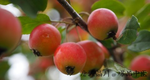小暑养生知识 小暑养生知识