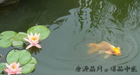 夏至的由来 夏至的由来