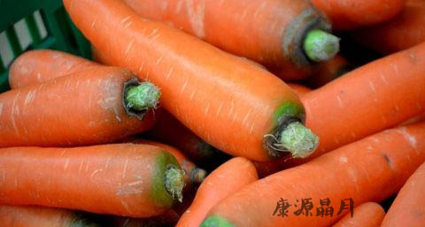 春季吃什么养胃 春季吃什么养胃