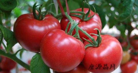 春季男人吃什么好 春季男人吃什么好