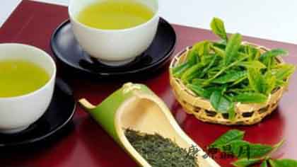 春季防癌食物有哪些 春季防癌食物有哪些
