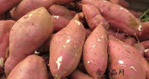 春季润肺吃什么好 春季润肺吃什么好