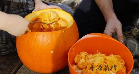 春天怎么吃苦瓜最去火 春天怎么吃苦瓜最去火